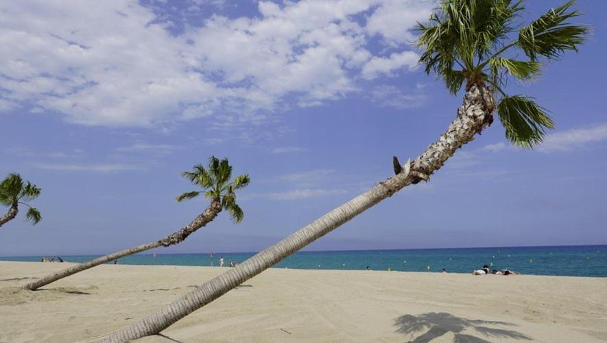 Вилла Maison Plein Pied Proximite Plage Et Commerce - 5Sir33 Ле Баркарес Экстерьер фото