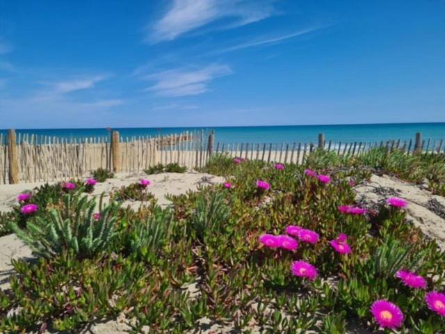 Вилла Maison Plein Pied Proximite Plage Et Commerce - 5Sir33 Ле Баркарес Экстерьер фото